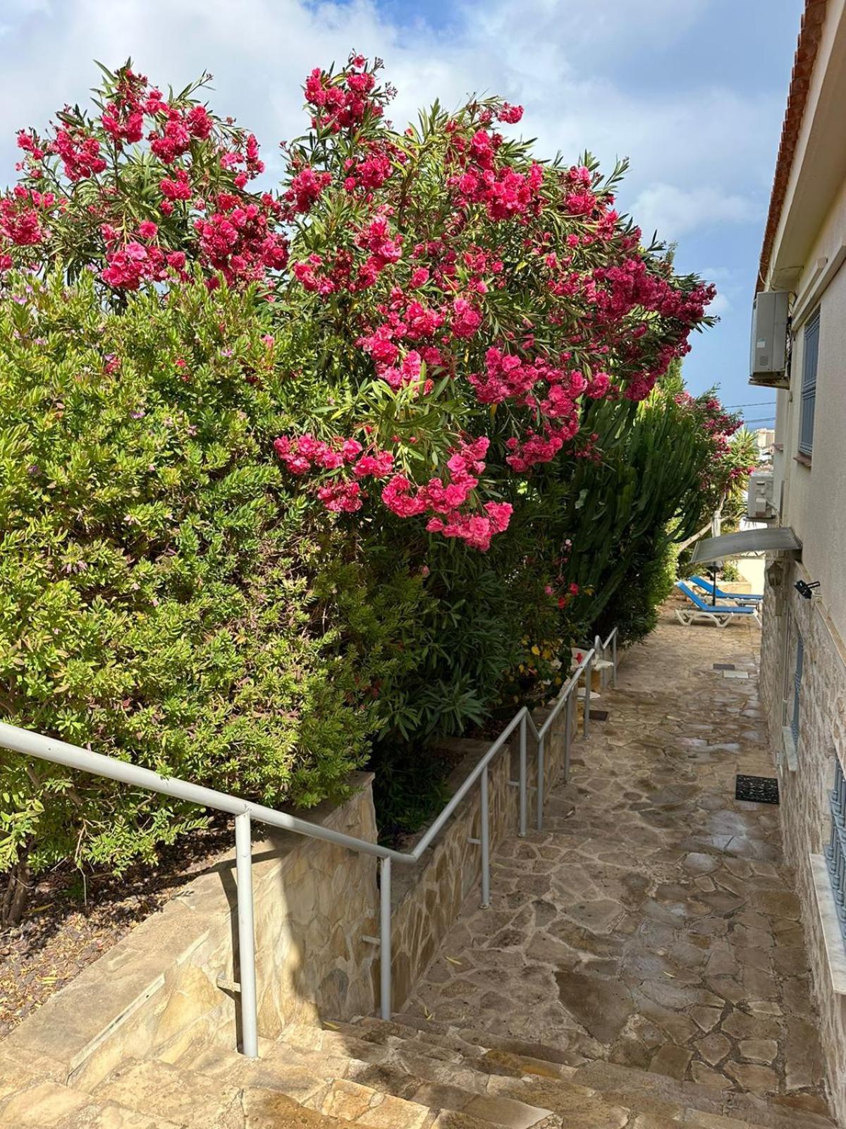 Apartamentos En La Villa Con El Territorio Comun En Calpe Exteriér fotografie
